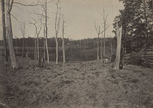 Floresta. de George N. Barnard