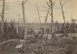 Campo de batalha de Resaca, Geórgia, n.º 3 de 1864 (foto) de George N. Barnard