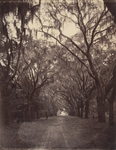 Cemitério de Bonaventure, a quatro milhas de Savannah de George N. Barnard