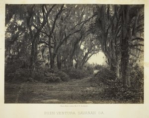 Buen-Ventura Savannah, Ga. de George N. Barnard