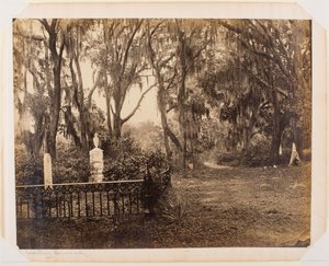 Buen-Ventura, Savannah, Geórgia de George N. Barnard