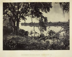 Savannah River, perto de Savannah, GA de George N. Barnard