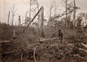 The "Hell Hole", New Hope Church, Geórgia, de Photographic Views of Sherman