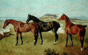 Três Cavalos: Whissendine, Swallow e Tiptop de George Paice