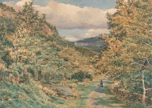 Uma estrada perto de Bettws-y-Coed de George Price Boyce