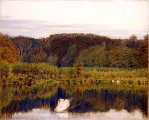 Abinger Mill Pond, Surrey- Manhã no Final do Outono (aguarela sobre papel) de George Price Boyce