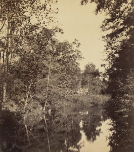 The Dell,1863 (foto) de George Rockwood Gardner