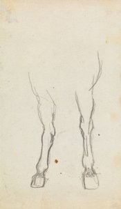 Estudo das patas dianteiras de um cavalo de George Romney