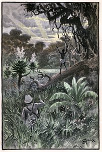 Ilustração de George Roux para o livro de Júlio Verne "A Aldeia Aérea" (1901), edição Hetzel/Viagens Extraordinárias, Mundos Conhecidos e Desconhecidos. Vista de uma floresta africana (Congo). de George Roux