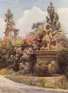 Jardins italianos: Rosas da China, Villa Imperiali (litografia a cores) de George Samuel Elgood