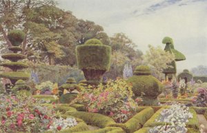 Levens, rosas e rosas de George Samuel Elgood