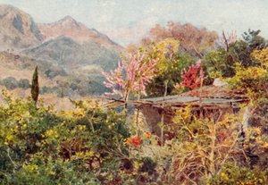 Orange Grove, Mentone (litografia a cores)