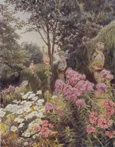 Flox e Margarida de George Samuel Elgood