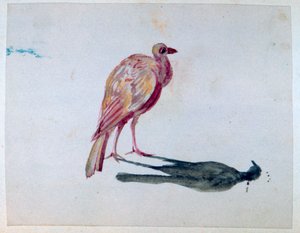 Pássaro, 1820-1876 de George Sand