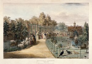 Jardins Zoológicos, Regent