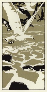 Da praia veio uma grande gaivota do mar branca (cor litho) de George Sheringham