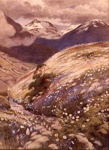 Flores Alpinas (aguarela sobre papel) de George Soper