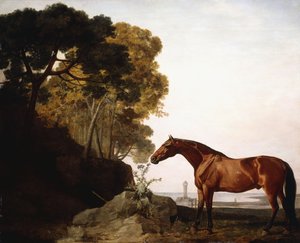 Um árabe da baía em uma paisagem costeira, 1779 de George Stubbs