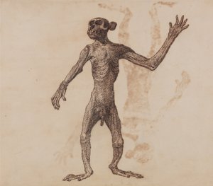 Uma exposição anatómica comparativa da estrutura do corpo humano com a de um tigre e de uma ave comum:  Macaco em pé, vista anterior de George Stubbs