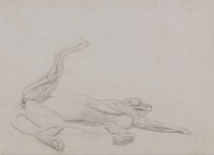 Uma exposição anatómica comparativa da estrutura do corpo humano com a de um tigre e de uma ave comum:  Corpo de tigre, reclinado, visto ventralmente de George Stubbs