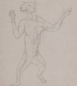 Uma exposição anatómica comparativa da estrutura do corpo humano com a de um tigre e de uma ave comum:  Corpo de tigre, em pé, em postura humana de George Stubbs