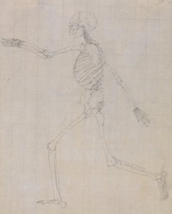 Uma exposição anatómica comparativa da estrutura do corpo humano com a de um tigre e de uma ave comum: Esqueleto Humano, Vista Lateral (Esboço do esqueleto para o índice da Tabela III) de George Stubbs