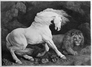 Um cavalo temerado por um leão, gravado pelo artista, 1788 de George Stubbs