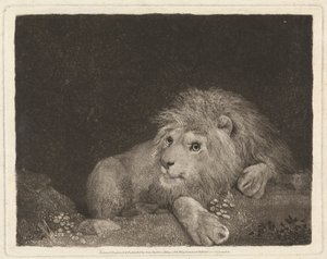Um Leão [Um Leão em recesso] de George Stubbs