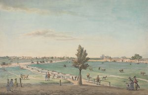 Kennington Comum de George Stubbs