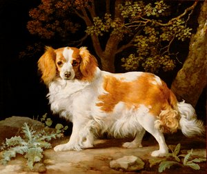 Um Fígado e Rei Branco Charles Spaniel numa paisagem arborizada de George Stubbs