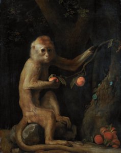Um macaco de George Stubbs