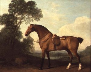 Um Caçador de Baía Saddled em uma Paisagem com um Lago Além de George Stubbs
