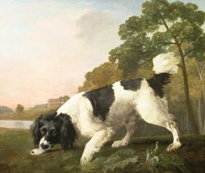 Um Spaniel em uma paisagem, 1771