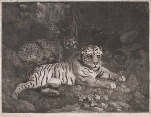 Um tigre e um leopardo adormecido de George Stubbs
