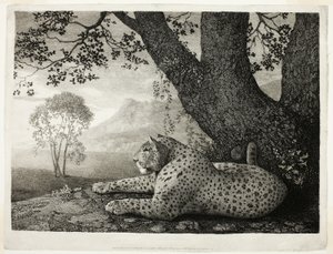 Um tigre (um leopardo reclinado por uma árvore) de George Stubbs