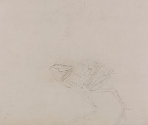 Dorking Hen Body, Lateral View (Estudo dos músculos do corpo e dos membros numa fase posterior da dissecação) de George Stubbs