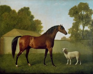 Dungannon, propriedade do Coronel O&39;Kelly, pintado em um piquete com uma ovelha, 1793