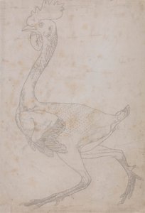 Corpo da ave, vista lateral (Provavelmente preparado para transferência para a chapa para gravação do índice para a tabela X) de George Stubbs