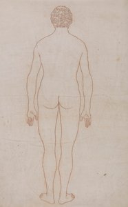 Corpo Humano, Vista Posterior (Esboço do Desenho para o Quadro VII) de George Stubbs