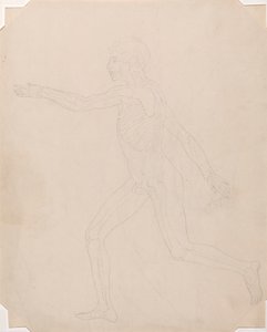 Figura Humana, Vista Lateral de George Stubbs