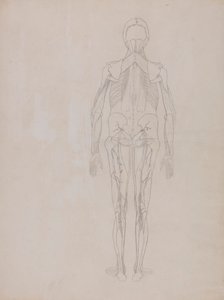 Figura Humana, Vista Posterior (Desenho de esboço para a figura chave de uma placa não publicada) de George Stubbs
