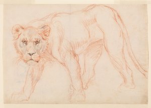 Leoa rondando, do século XVIII ou XIX de George Stubbs