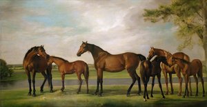 Éguas e potros perturbados por uma tempestade que se aproxima, 1764-66 de George Stubbs