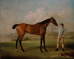 Molly Long-legs com o seu Jockey de George Stubbs