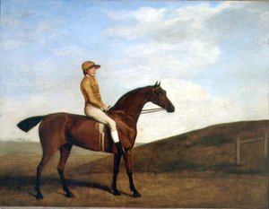 "Rosaletta" (óleo sobre tela) de George Stubbs