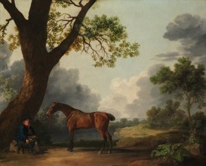 O caçador do terceiro duque de Dorset com um noivo e um cachorro, 1768. de George Stubbs