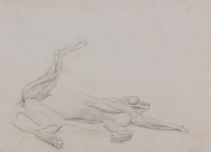 Corpo de Tigre, Recumbente, Visto Ventralmente de George Stubbs