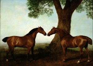 Dois Bay Hunters por uma árvore, 1786 de George Stubbs