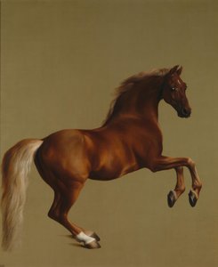 Whistlejacket de George Stubbs