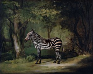 Zebra de George Stubbs